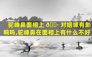 驼峰鼻面相上 🕷 对姻缘有影响吗,驼峰鼻在面相上有什么不好
